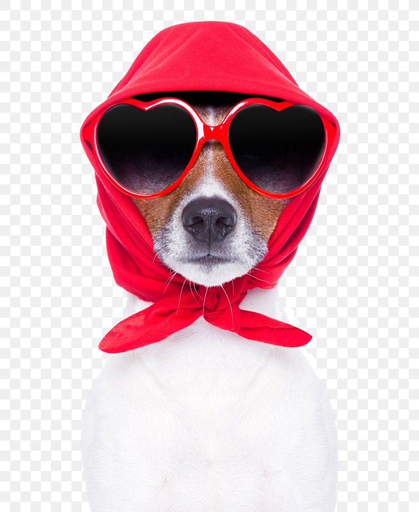 Glasses, PNG, 667x1000px, Eyewear, Dog, Dog Breed, Dog Clothes, Glasses Download Free