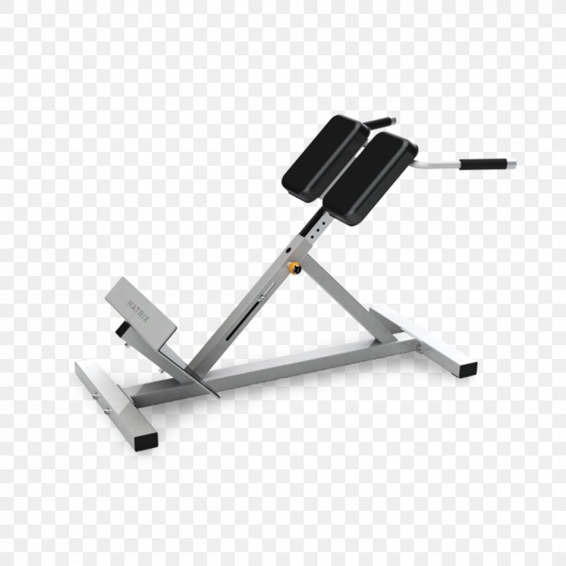 Hyperextension Bench Roman Chair Exercise Equipment Weight Training, PNG, 1200x1200px, Hyperextension, Bench, Biceps Curl, Crunch, Dumbbell Download Free