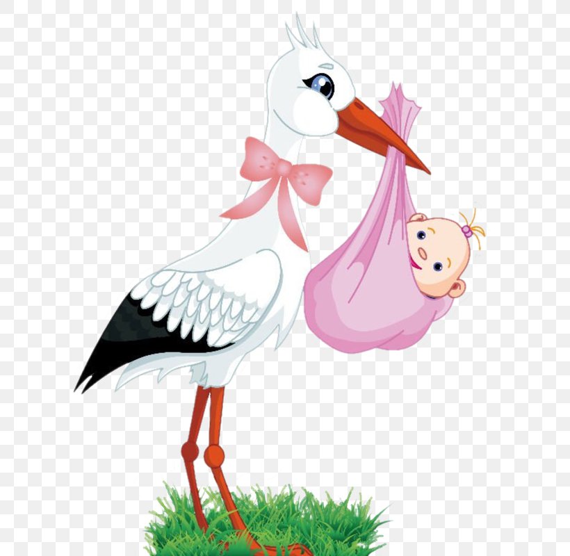 White Stork Infant Clip Art Child, PNG, 633x800px, White Stork, Art, Baby Shower, Beak, Bird Download Free