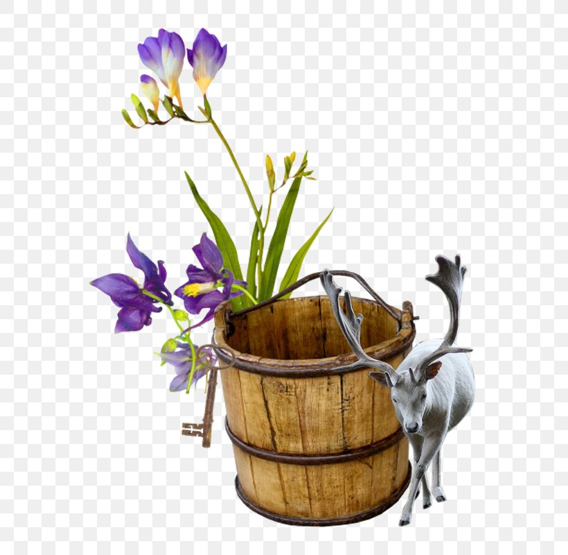 Bucket Barrel, PNG, 600x800px, Bucket, Barrel, Basket, Container, Flora Download Free