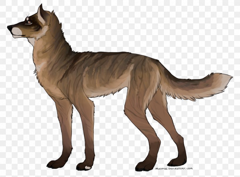 Dog Breed Jackal Fauna Fur, PNG, 1000x739px, Dog Breed, Breed, Carnivoran, Dog, Dog Like Mammal Download Free