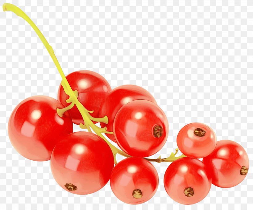 Fruit Cartoon, PNG, 3000x2493px, Zante Currant, Berries, Berry, Blackcurrant, Cherry Download Free