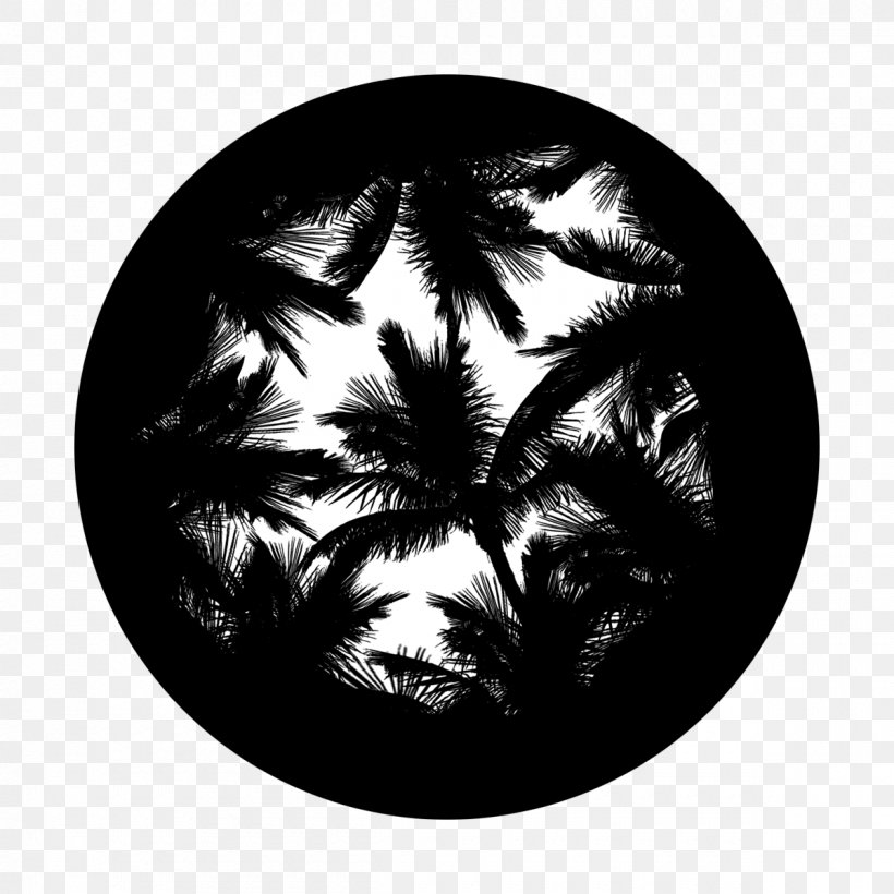 Gobo Stage Lighting Glass, PNG, 1200x1200px, Gobo, Black And White, Electric Light, Glass, Intelligent Lighting Download Free