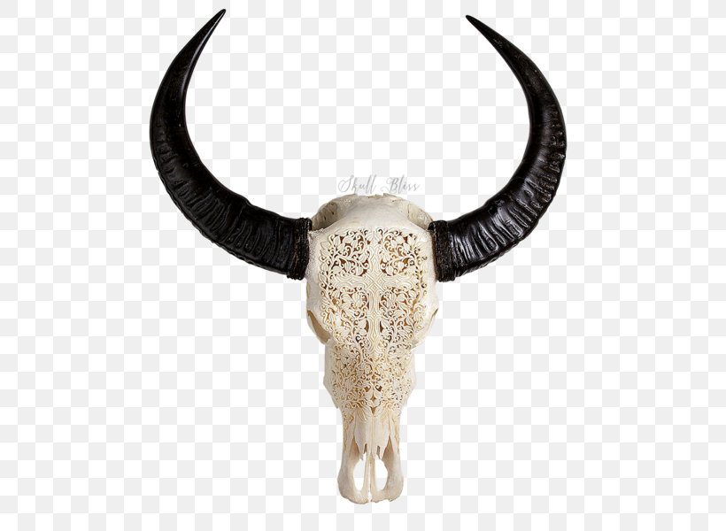 Cattle Décoration Furniture Skull Decorative Arts, PNG, 600x600px, Cattle, Art, Bohochic, Bone, Cattle Like Mammal Download Free