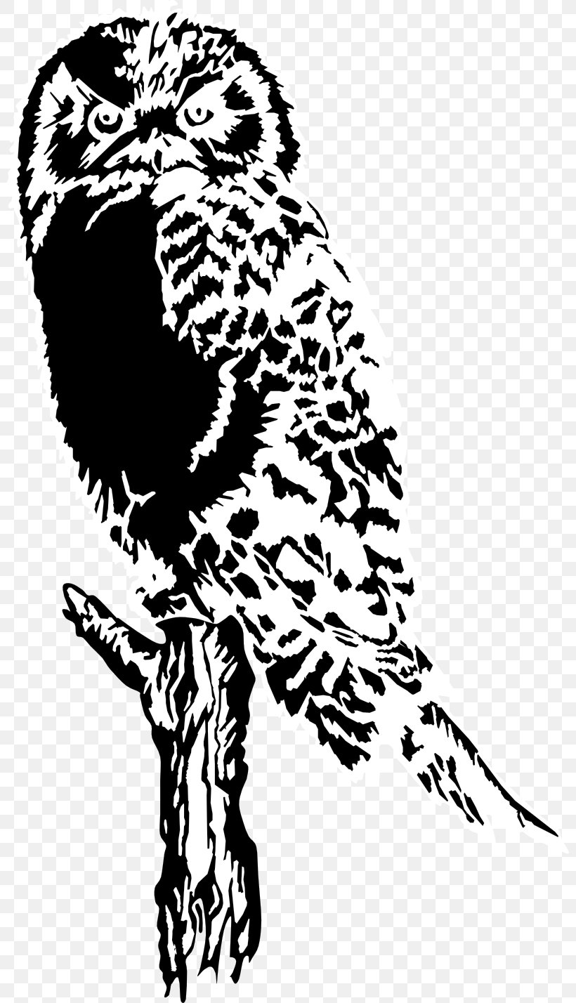 Drawing Clip Art, PNG, 800x1428px, Drawing, Art, Beak, Bird, Bird Of Prey Download Free