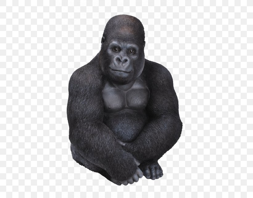 Vivid Arts Gorilla Resin Ornament Chimpanzee Garden Ornament, PNG, 640x640px, Gorilla, Chimpanzee, Garden, Garden Ornament, Great Ape Download Free