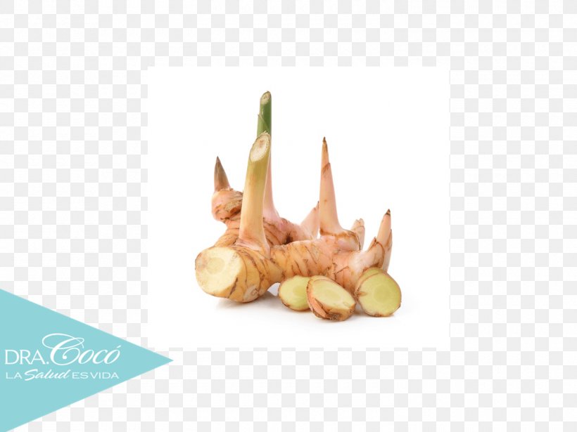 Galangal Ginger Root Vegetable Profit, PNG, 1500x1125px, Galangal, Blue, Cancer, Chesed, Coco Download Free