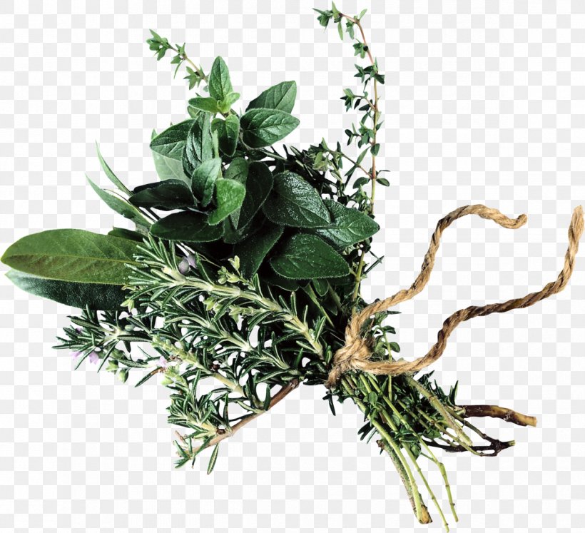 Beef Bourguignon Bouquet Garni Herb Olive Oil Flower Bouquet, PNG, 1185x1080px, Beef Bourguignon, Alternative Medicine, Balsamic Vinegar, Bay Leaf, Bouquet Garni Download Free