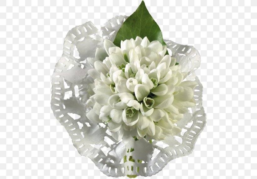 Flower Snowdrop Internet Forum, PNG, 500x570px, Flower, Animaatio, Artificial Flower, Birthday, Cut Flowers Download Free