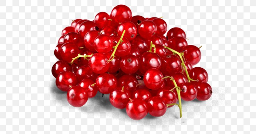 Lingonberry Zante Currant Berries Fruit Boysenberry, PNG, 645x430px, Lingonberry, Berries, Berry, Blackberry, Boysenberry Download Free