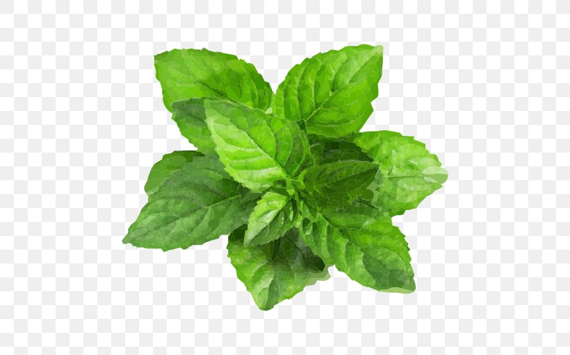 Peppermint Water Mint Mentha Spicata, PNG, 512x512px, Peppermint, Basil, Herb, Herbal, Herbalism Download Free