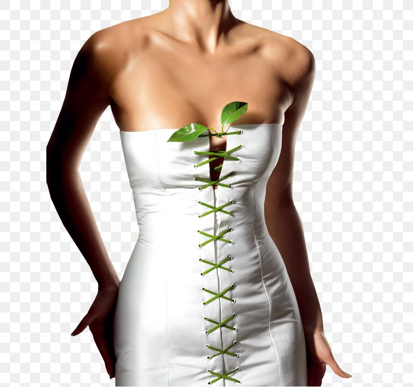 Weight Loss Health Drumstick Tree Forever Living Products Exercise, PNG, 640x768px, Weight Loss, Abdomen, Cocktail Dress, Diet, Dietary Supplement Download Free