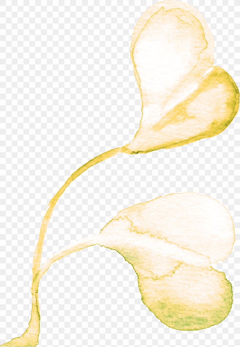 Adobe Illustrator, PNG, 2677x3875px, Painting, Adobe Systems, Architecture, Flower, Food Download Free