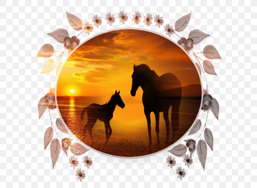 Animaatio Mustang Desktop Wallpaper, PNG, 600x600px, Watercolor, Cartoon, Flower, Frame, Heart Download Free