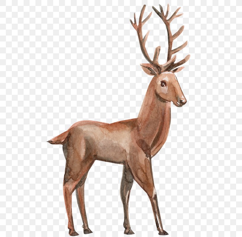 Elk Reindeer, PNG, 542x800px, Elk, Antler, Deer, Drawing, Fauna Download Free