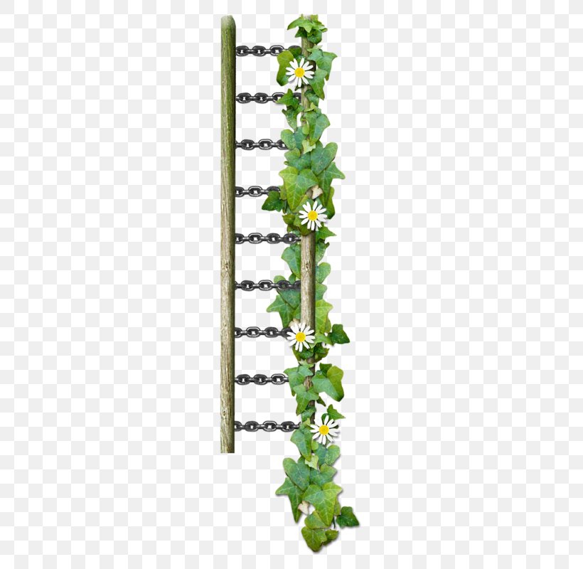 Ladder Digital Scrapbooking Clip Art, PNG, 653x800px, Ladder, Cut Copy And Paste, Digital Scrapbooking, Flowering Plant, Gimp Download Free