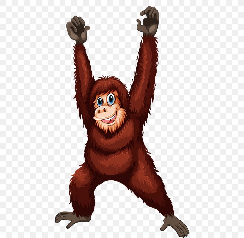Orangutan Ape Royalty-free Clip Art, PNG, 495x800px, Orangutan, Ape, Art,  Bear, Cartoon Download Free