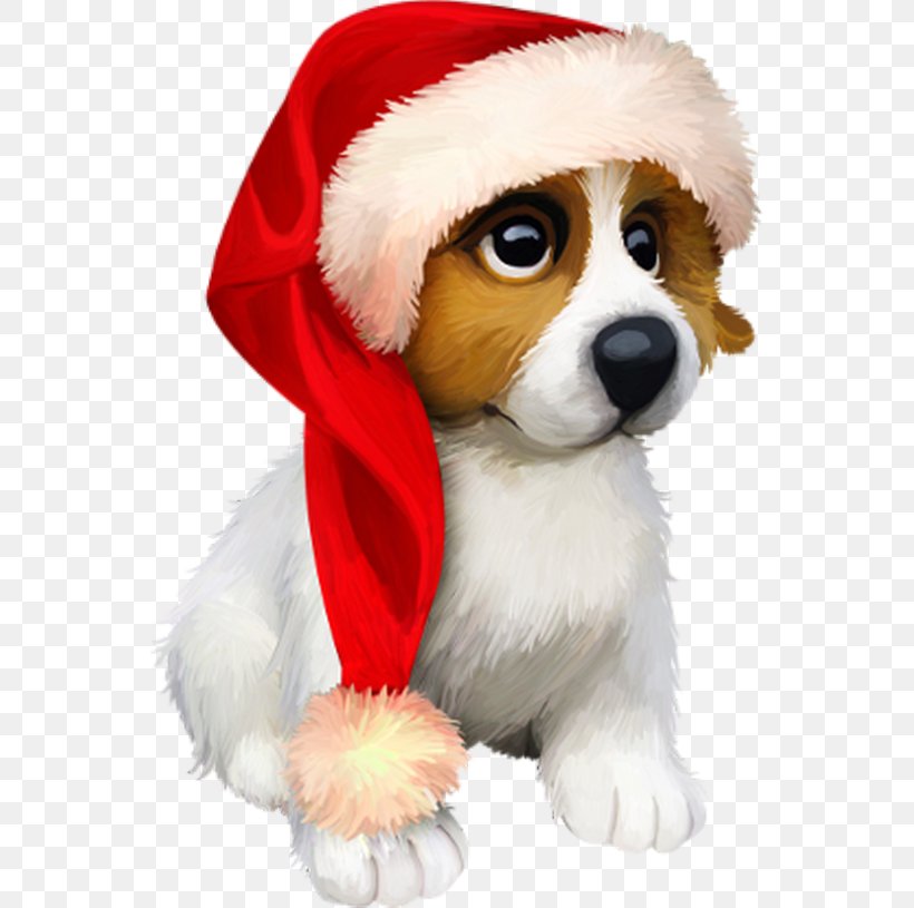 Puppy Dog Breed Yorkshire Terrier New Year Christmas Day, PNG, 550x815px, 2018, 2019, Puppy, Animal, Animation Download Free