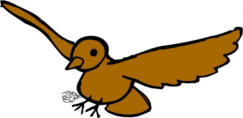 Bird Flight Bird Flight Clip Art, PNG, 1600x777px, Bird, Artwork, Beak, Bird Flight, Drawing Download Free