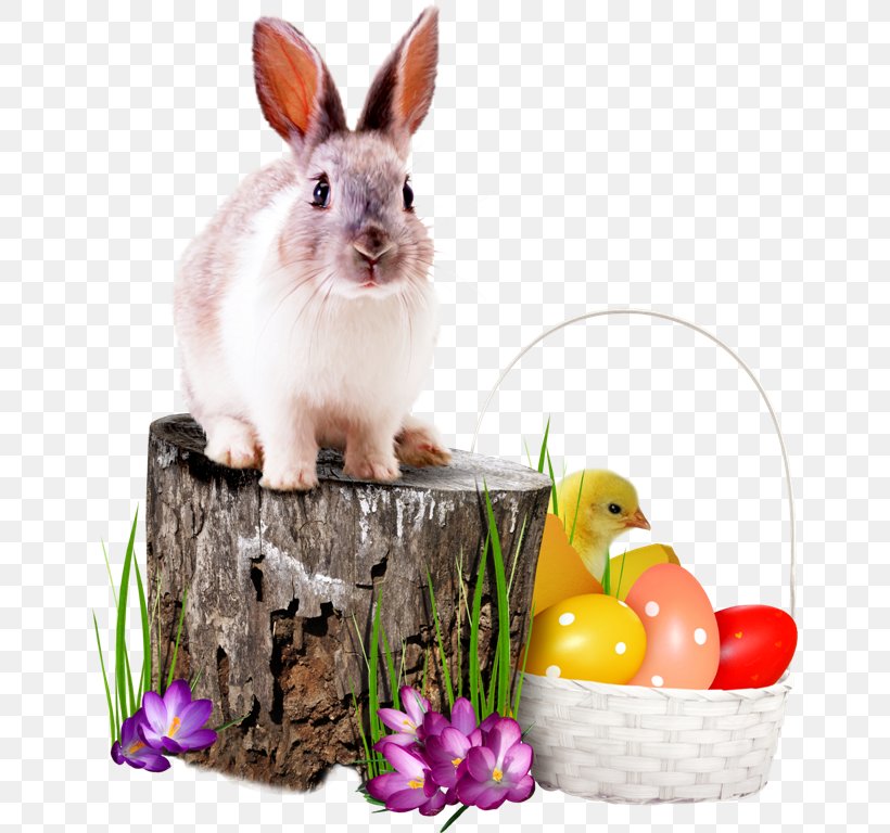 Easter Bunny Easter Monday Domestic Rabbit Dydd Sul Y Pasg, PNG, 650x768px, Easter Bunny, Christmas, Domestic Rabbit, Dydd Sul Y Pasg, Easter Download Free