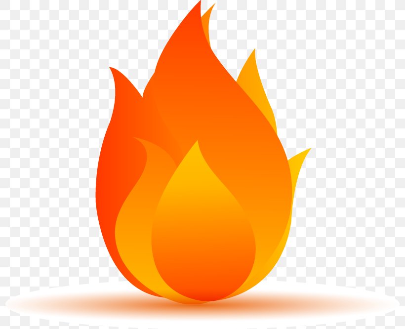 Flame Fire, PNG, 798x666px, Flame, Cartoon, Chemical Element, Fire, Heat Download Free