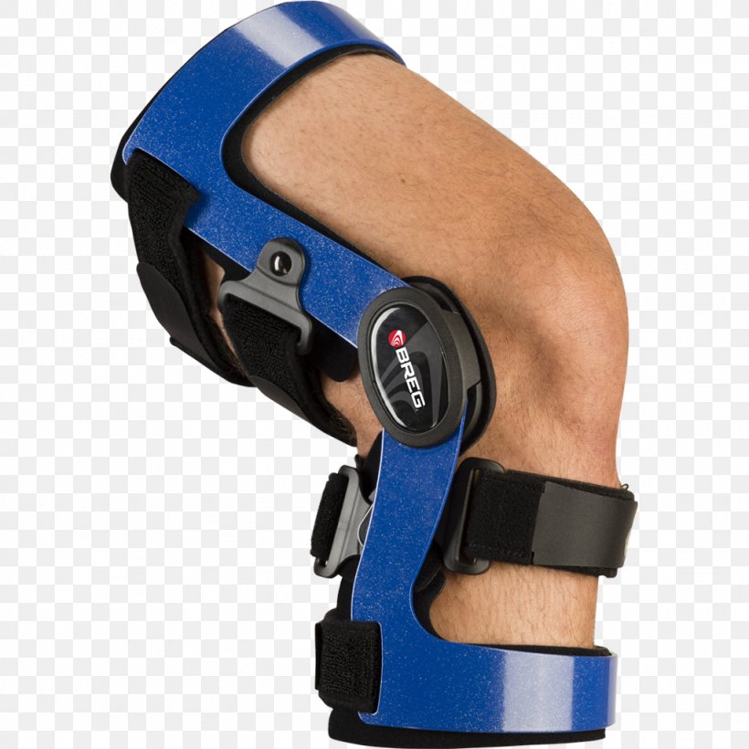 Knee Anterior Cruciate Ligament Orthotics Breg, Inc. Posterior Cruciate Ligament, PNG, 1024x1024px, Knee, Anterior Cruciate Ligament, Arm, Breg Inc, Dental Braces Download Free