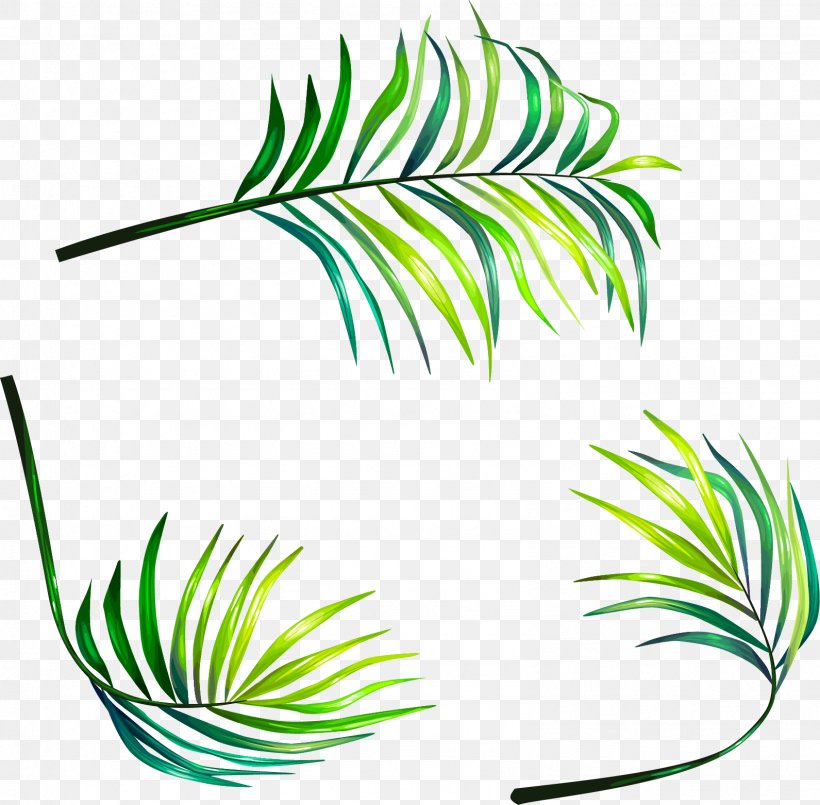 Leaf Euclidean Vector Clip Art, PNG, 1591x1562px, Leaf, Clip Art, Flora, Flower, Grass Download Free