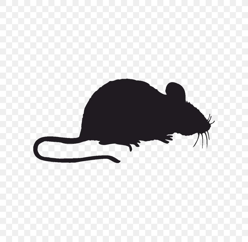 Pest Control Window Mouse Sticker, PNG, 800x800px, Pest Control, Black And White, Black Rat, Building, Decal Download Free