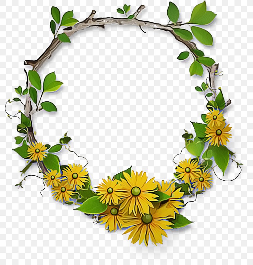 Saint Patricks Day, PNG, 800x860px, Picture Frames, Drawing, Flower, Ivy, Leaf Download Free
