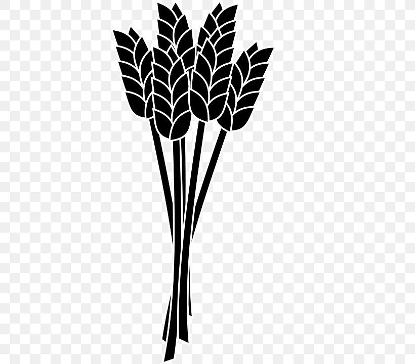Wheat Ear Clip Art, PNG, 381x720px, Wheat, Arecales, Black And White, Branch, Cereal Download Free