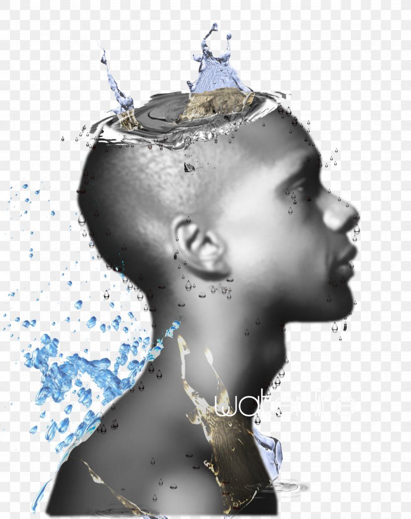 Body Of Water Human Body Homo Sapiens, PNG, 2480x3130px, Body Of Water, Body, Face, Forehead, Head Download Free