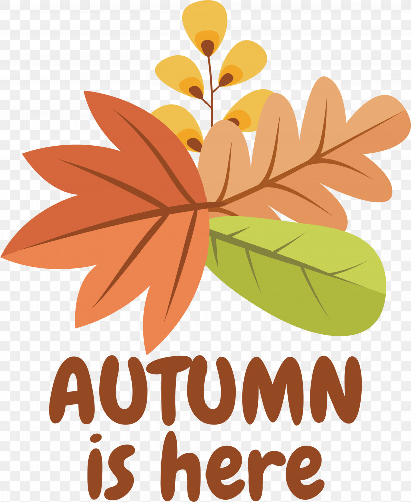 Icon Drawing Autumn Logo, PNG, 4079x4987px, Drawing, Autumn, Logo Download Free