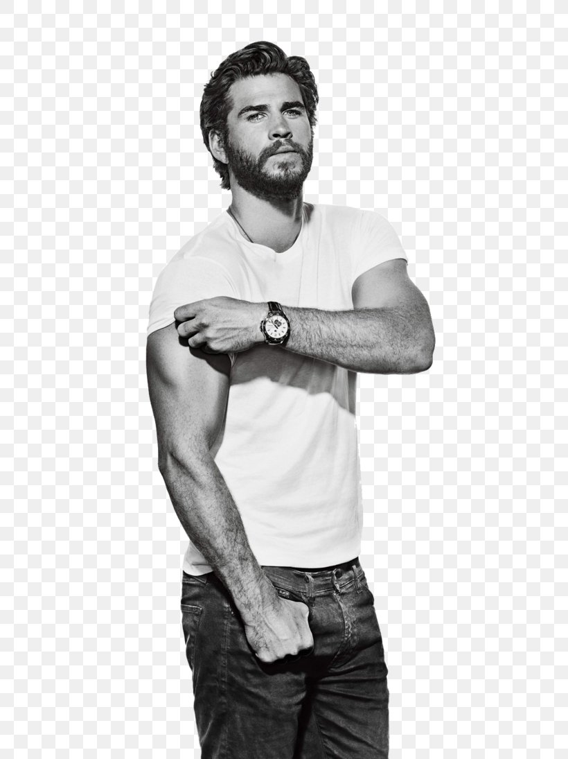 Liam Hemsworth The Hunger Games Zurich Film Festival Celebrity Actor, PNG, 730x1095px, Watercolor, Cartoon, Flower, Frame, Heart Download Free