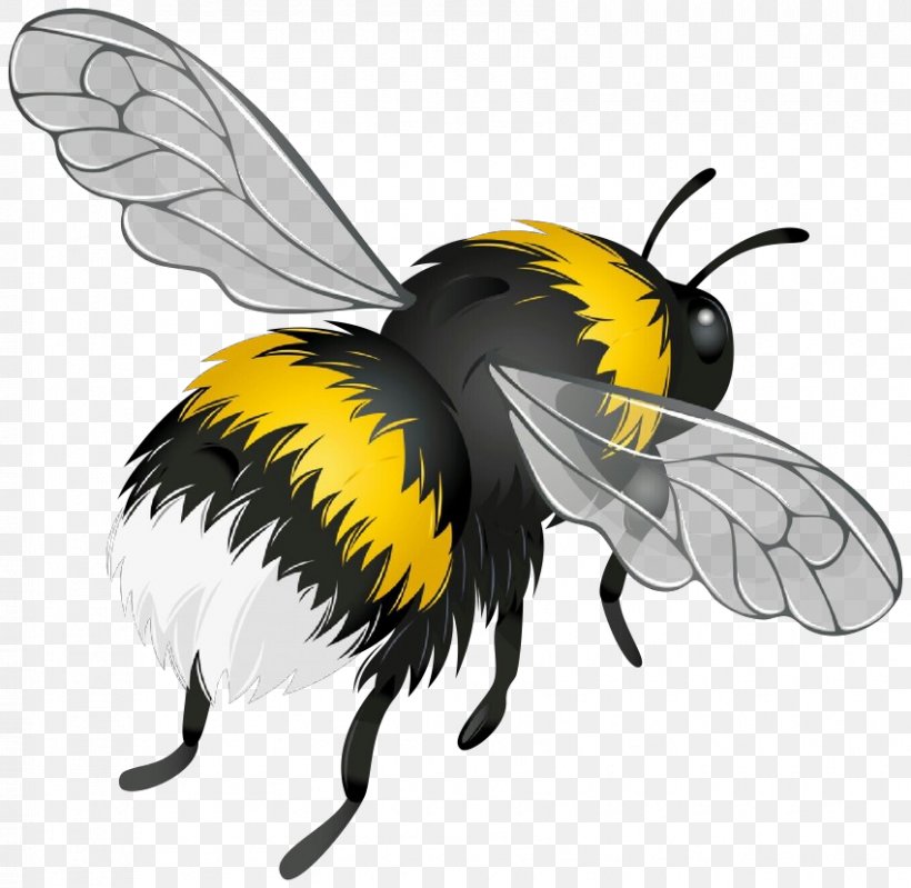 Bumblebee, PNG, 850x829px, Cartoon, Bee, Bumblebee, Fly, Honeybee Download Free