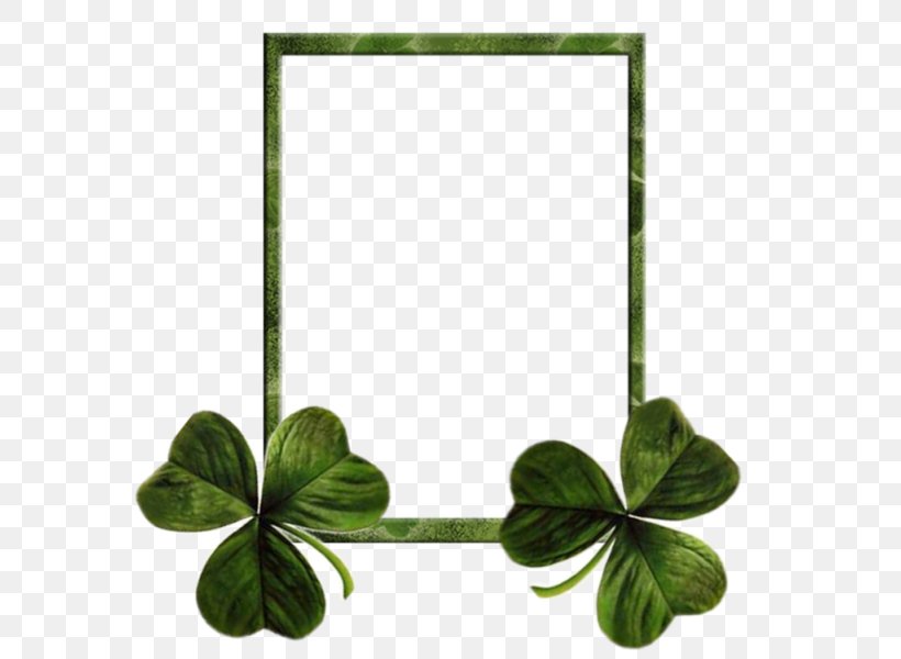 Ireland Saint Patricks Day Shamrock Clover Holiday, PNG, 600x600px, Ireland, Clover, Grass, Green, Holiday Download Free