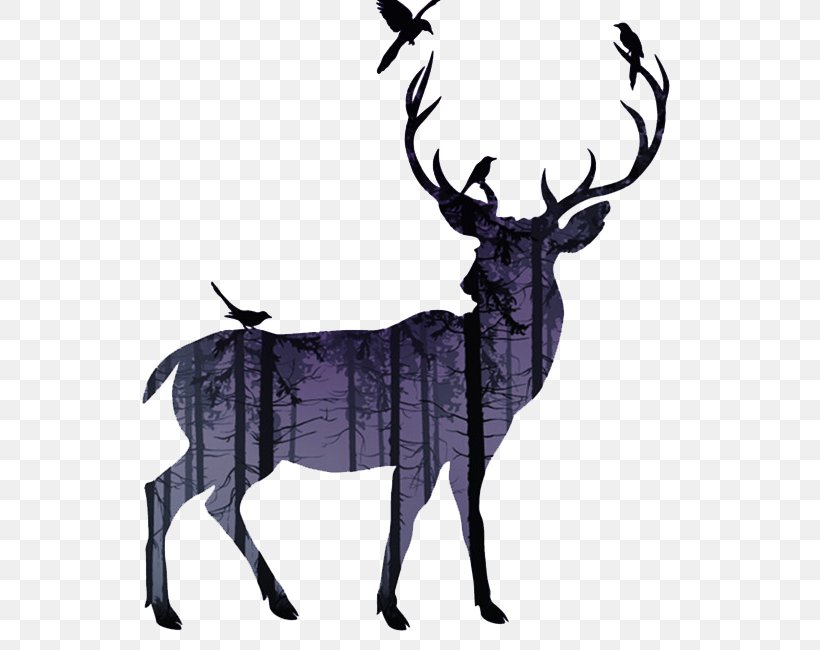 White-tailed Deer Reindeer Moose Elk, PNG, 650x650px, Deer, Antler, Black And White, Elk, Horn Download Free