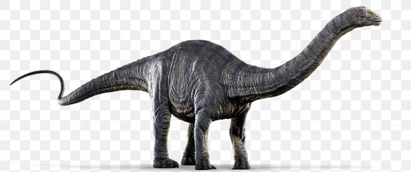 Apatosaurus Dinosaur Diplodocus Gallimimus Metriacanthosaurus, PNG, 1024x429px, Apatosaurus, Animal Figure, Ankylosaurus, Dinosaur, Diplodocus Download Free