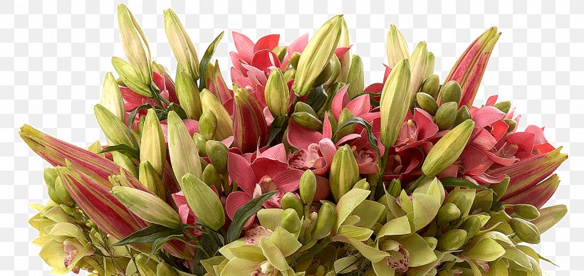 Floral Design Cut Flowers Artificial Flower Floristry, PNG, 1258x596px, Floral Design, Artificial Flower, Cut Flowers, Floral Industry, Floristry Download Free