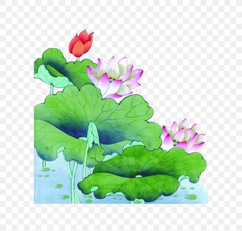 U4e2du56fdu753bu575b Chinese Painting Nelumbo Nucifera Ink Wash Painting Gongbi, PNG, 778x781px, Chinese Painting, Annual Plant, Aquatic Plant, Art, Birdandflower Painting Download Free