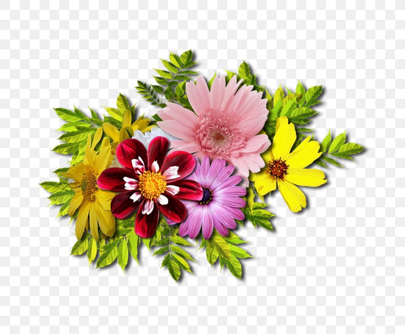 Cut Flowers Floral Design Image Flower Bouquet, PNG, 800x677px, Flower, Annual Plant, Aster, Chrysanthemum, Chrysanths Download Free