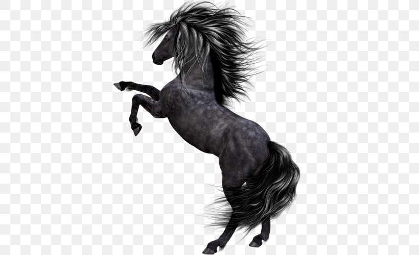 Horse T-shirt, PNG, 500x500px, Horse, Art, Art Museum, Black, Black And White Download Free