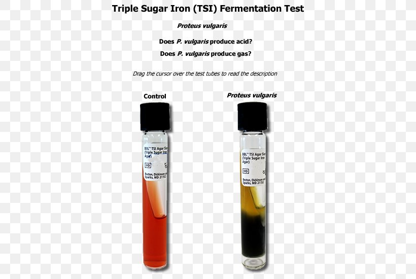 Test Tubes, PNG, 600x550px, Test Tubes, Liquid Download Free