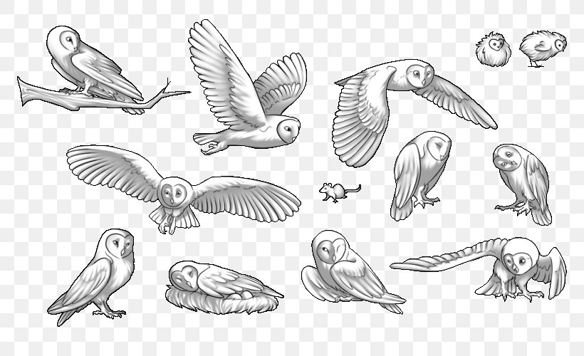 Barn Owl Swallow Bird Of Prey, PNG, 800x500px, Owl, Animal, Animal Figure, Art, Artwork Download Free