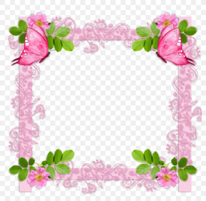 Garden Roses Picture Frames Photography Floral Design, PNG, 800x800px, Garden Roses, Blossom, Cut Flowers, Decoupage, Flora Download Free