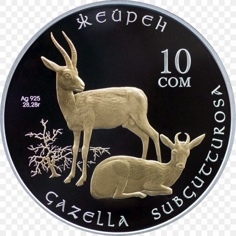 Silver Coin Kyrgyzstan Banknote Kazakhstani Tenge, PNG, 868x868px, Coin, Almaty, Antler, Asia, Banknote Download Free