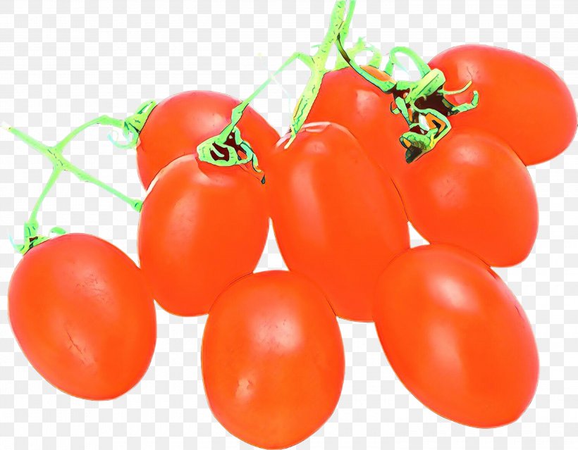 Tomato, PNG, 3000x2338px, Cartoon, Bush Tomato, Cherry Tomatoes, Food, Fruit Download Free