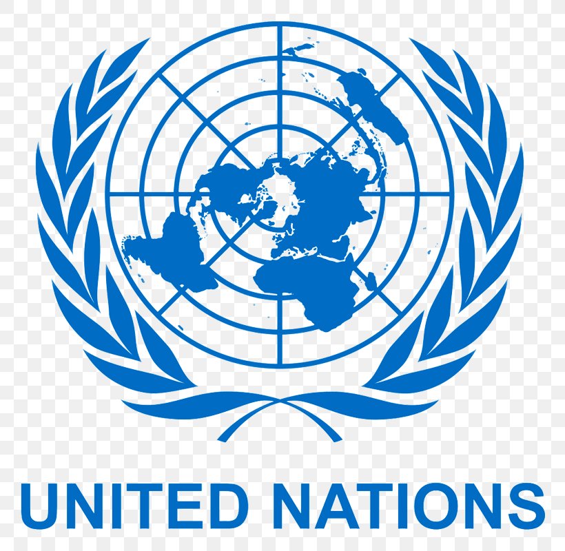 United Nations Office At Geneva United Nations Framework Convention On Climate Change United Nations Conference On Trade And Development, PNG, 800x800px, United Nations Office At Geneva, Area, Artwork, Ball, Black And White Download Free