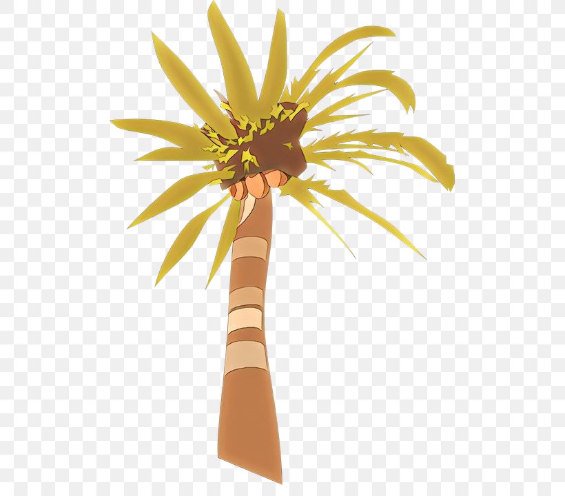 Coconut Tree Drawing, PNG, 501x720px, Cartoon, Areca Palm, Arecales, Coconut, Drawing Download Free