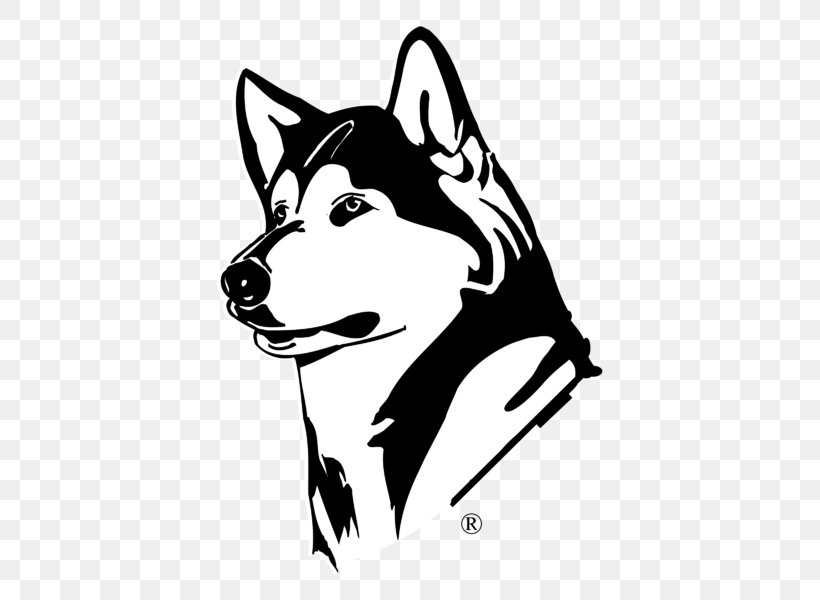 Washington Huskies Football Washington Huskies Softball University Of Washington Washington Huskies Baseball Washington Huskies Men's Basketball, PNG, 800x600px, Washington Huskies Football, Black, Black And White, Carnivoran, Cartoon Download Free