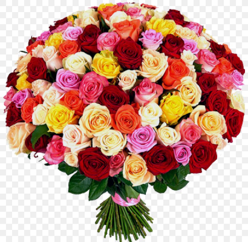 101 Roses Garden Roses Flower Bouquet Rose Life, PNG, 800x800px, Garden Roses, Artificial Flower, Cut Flowers, Delivery, Dostavka Kvitiv Download Free